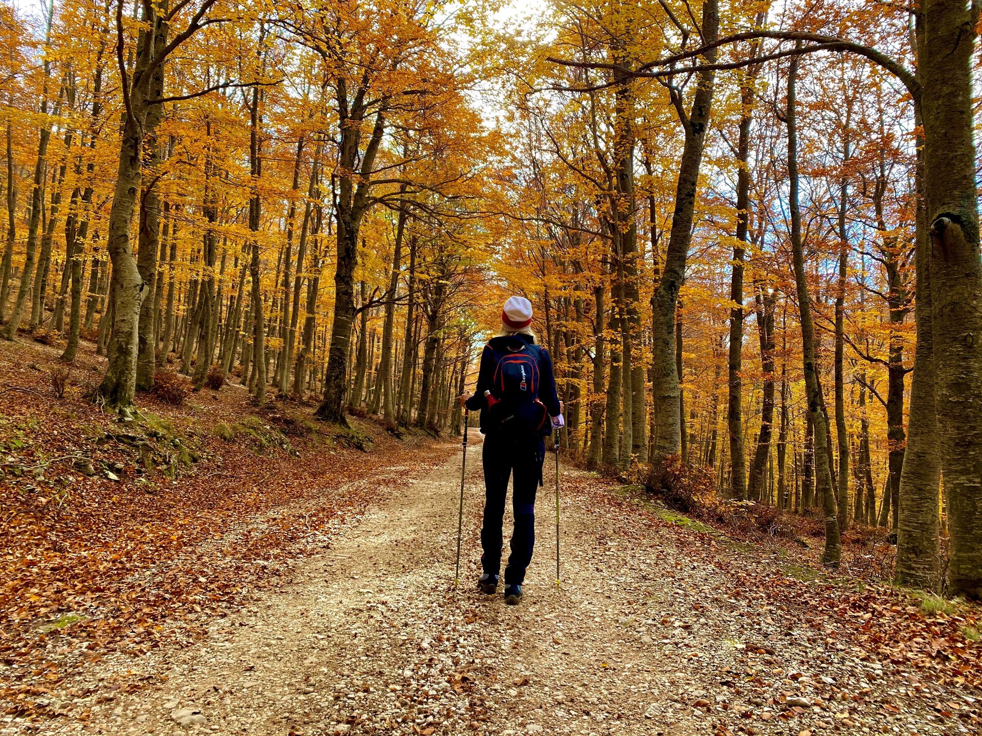 Autunno Sul Voltigno In Abruzzo • Majellando